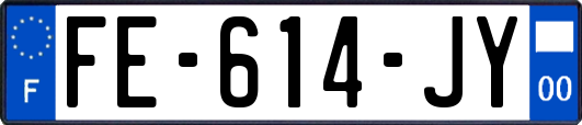 FE-614-JY