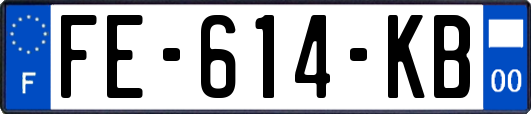 FE-614-KB