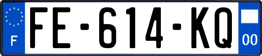 FE-614-KQ