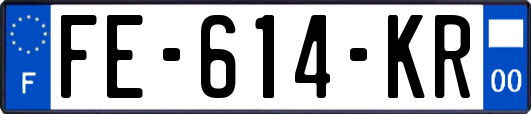 FE-614-KR
