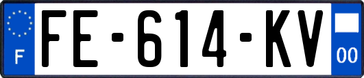 FE-614-KV