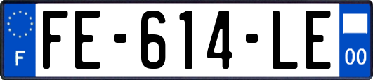 FE-614-LE