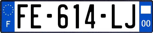 FE-614-LJ
