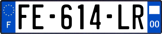 FE-614-LR