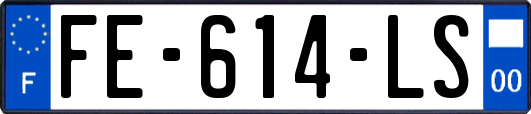 FE-614-LS