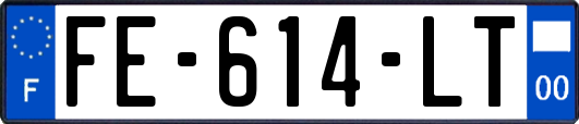 FE-614-LT