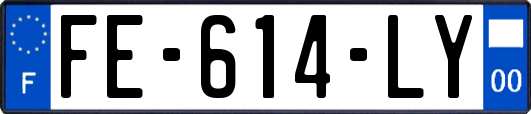 FE-614-LY