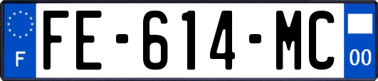 FE-614-MC