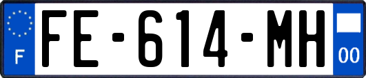 FE-614-MH