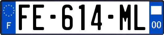 FE-614-ML