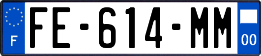 FE-614-MM