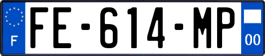 FE-614-MP