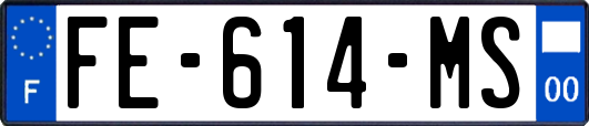 FE-614-MS