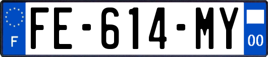 FE-614-MY