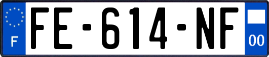 FE-614-NF
