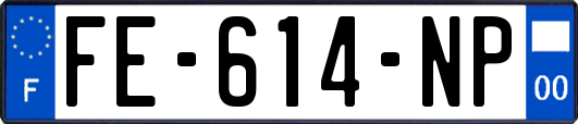 FE-614-NP