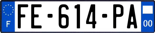 FE-614-PA