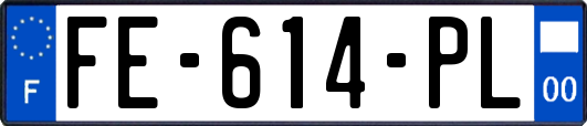 FE-614-PL