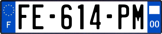 FE-614-PM
