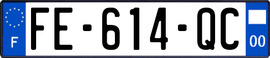 FE-614-QC