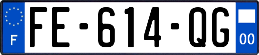 FE-614-QG