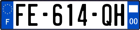 FE-614-QH