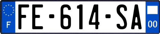 FE-614-SA