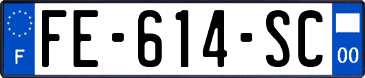 FE-614-SC
