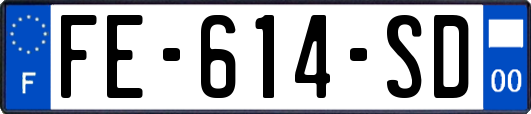 FE-614-SD