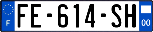 FE-614-SH