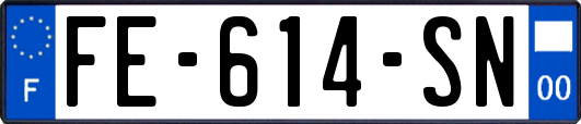 FE-614-SN