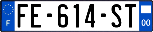 FE-614-ST