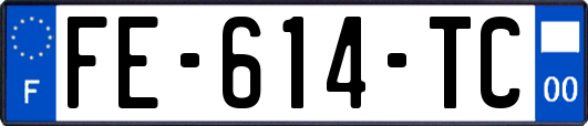 FE-614-TC