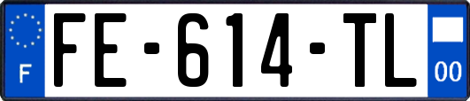 FE-614-TL
