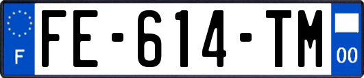 FE-614-TM