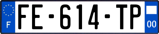 FE-614-TP