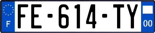 FE-614-TY