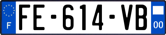 FE-614-VB