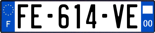 FE-614-VE