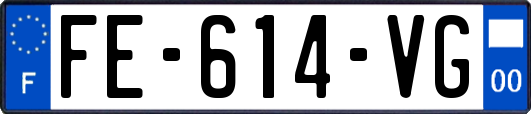 FE-614-VG