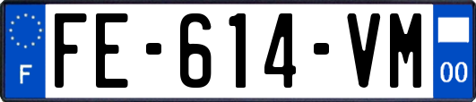 FE-614-VM