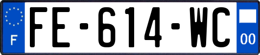 FE-614-WC