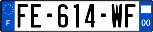 FE-614-WF