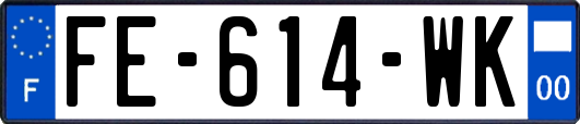 FE-614-WK