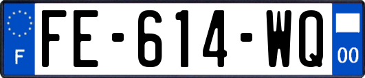 FE-614-WQ