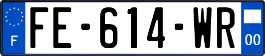 FE-614-WR