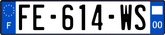 FE-614-WS
