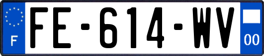 FE-614-WV