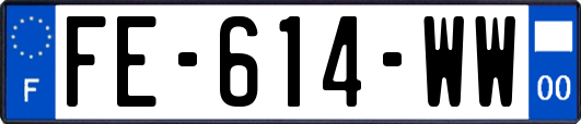 FE-614-WW