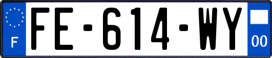 FE-614-WY